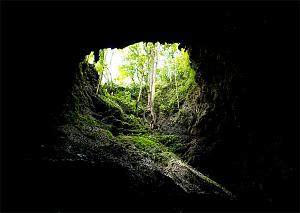 Pulsa en la imagen para verla en tamaño completo

Nombre: cueva-de-chicoy-sinluz.jpg
Visitas: 201
Tamaño: 49.6 KB
ID: 1825